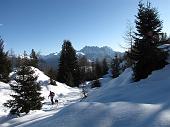 12 Ci segue uno scialpinista col cane